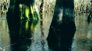 8 Seconds at the Three Sisters