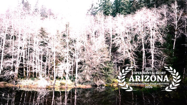 Best Experimental Short: OLD GROWTH
